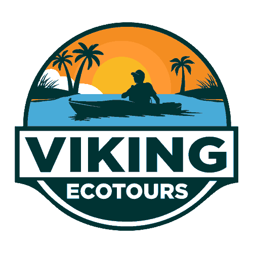 Viking EcoTours LLC logo